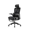 Chaise de bureau ergonomique iCAN E21-BK en maille spéciale
