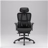 iCAN E21-BK Special Mesh Ergonomic Office Chair