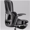 iCAN E21-BK Special Mesh Ergonomic Office Chair