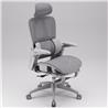 iCAN E21-GY Reclining Ergonomic Office Chair