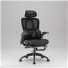 iCAN E21-BK Special Mesh Ergonomic Office Chair