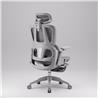 iCAN E21-GY Reclining Ergonomic Office Chair