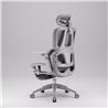 iCAN E21-GY Reclining Ergonomic Office Chair