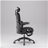 iCAN E21-BK Special Mesh Ergonomic Office Chair