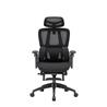 Chaise de bureau ergonomique iCAN E21-BK en maille spéciale