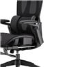 Chaise de bureau ergonomique iCAN E21-BK en maille spéciale