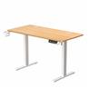iCAN HA-04-C-OA Electric Height Adjustable Desk