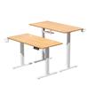 iCAN HA-04-C-OA Electric Height Adjustable Desk