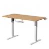 iCAN HA-04-C-OA Electric Height Adjustable Desk