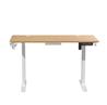 iCAN HA-04-C-OA Electric Height Adjustable Desk
