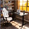 Bureau debout électrique iCAN STD-ES6-BK(Open Box)