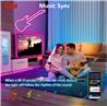 Guirlande lumineuse néon iCAN RGB+IC, bandes lumineuses LED de 9,8 pieds, synchronisation musicale.