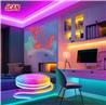 Guirlande lumineuse néon iCAN RGB+IC, bandes lumineuses LED de 9,8 pieds, synchronisation musicale.