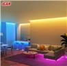 Guirlande lumineuse néon iCAN RGB+IC, bandes lumineuses LED de 9,8 pieds, synchronisation musicale.
