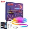 Guirlande lumineuse néon iCAN RGB+IC, bandes lumineuses LED de 9,8 pieds, synchronisation musicale.