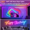 Guirlande lumineuse néon iCAN RGB+IC, bandes lumineuses LED de 9,8 pieds, synchronisation musicale.