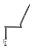 iCAN Microphone Arm, Desk Low Profile Adjustable Mic Boom Arm Stand