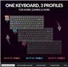 Keychron K2 HE 75% Keyboard Magnetic switches