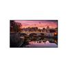 SAMSUNG 55" Premium Display 4K UHD