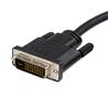 Câble convertisseur adaptateur vidéo DisplayPort vers DVI StarTech de 10 pi - M/M (DP2DVIMM10) | -Prend en charge des résolu...