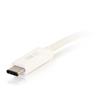 Cables to Go - Convertisseur adaptateur avec alimentation USB-C vers VGA - Blanc (29534)