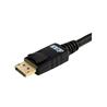 iCAN DisplayPort 1.2 Cable, 10FT