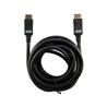 iCAN DisplayPort 1.2 Cable, 10FT