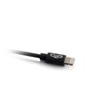 Cables To Go - Câble de chargement et de synchronisation mâle USB A vers mâle Lightning - 1 m (3.3 pied) - Noir (35499)