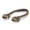 Cables to Go - Câble vidéo mâle/mâle VGA - Certifié CMG - 75 pieds (50219)