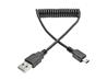Câble USB 2.0 haute vitesse Tripp Lite A vers Mini-B enroulé (M/M), 6 pi - câble USB - USB (M) vers mini-USB de type B (M) (...