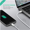 UGREEN US243 Câble USB Type C vers Micro USB, 1,5M, Blanc