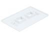 Plaque murale Monoprice pour Keystone, 2 trous - Blanc