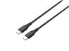 Câble iCAN USB 2.0 Type-C Mâle vers Type-C Mâle, 100W, 6 pieds