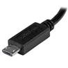 STARTECH Câble USB OTG 8 pouces Micro vers Mini USB pour tablette, smartphone