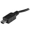 STARTECH Câble USB OTG 8 pouces Micro vers Mini USB pour tablette, smartphone