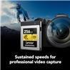 Carte mémoire Lexar Professional CFexpress Type B 256 Go, lecture jusqu'à 1 750 Mo/s, enregistrement vidéo brut 8K (LCXEXPR2...