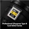 Carte mémoire Lexar Professional CFexpress Type B 256 Go, lecture jusqu'à 1 750 Mo/s, enregistrement vidéo brut 8K (LCXEXPR2...