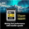 Carte mémoire Lexar Professional CFexpress Type B 256 Go, lecture jusqu'à 1 750 Mo/s, enregistrement vidéo brut 8K (LCXEXPR2...