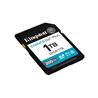 Kingston Canvas Go Plus G4 1TB SDXC UHS-I U3 V30 C10 - SD Card