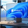 HP ProDesk Mini i5-8400T 16GB 256GB Wi-Fi Win11Pro (Renewed)
