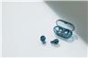 SONY Écouteurs WF-C710N à réduction du bruit Truly Wireless, bleu verr