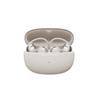 SHOKZ OpenDots ONE Open-Ear True Wireless Earbuds, Grey