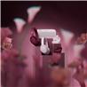 BOSE QuietComfort NC True Wireless Earbuds, Pink