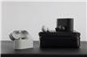 SONY WF-1000XM6 Écouteurs NC véritablement sans fil, argent platine