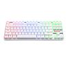 Redragon K552 Mechanical Gaming Keyboard 80% Compact 87 Key Kumara Wired  Blue Switches for Windows PC Gamers (RGB Backlit Whit
