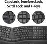 KENSINGTON K75406US Pro Fit Ergo Wireless Keyboard and Mouse  Black(Open Box)