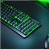 RAZER DeathStalker V2 Pro - Wireless Low Profile Optical Gaming Keyboa(Open Box)