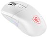 MSI VERSA 300 ELITE WIRELESS WHITE Right-handed Gaming Mouse - White, 6 Buttons, 26000 DPI (VERSA 300 ELITE W WHITE)(Open Box)