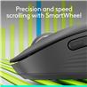 LOGITECH CORE Signature M650 Wireless Mouse-Graphite (910-006250)