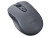 Lenovo WL310  Souris Bluetooth silencieuse grise